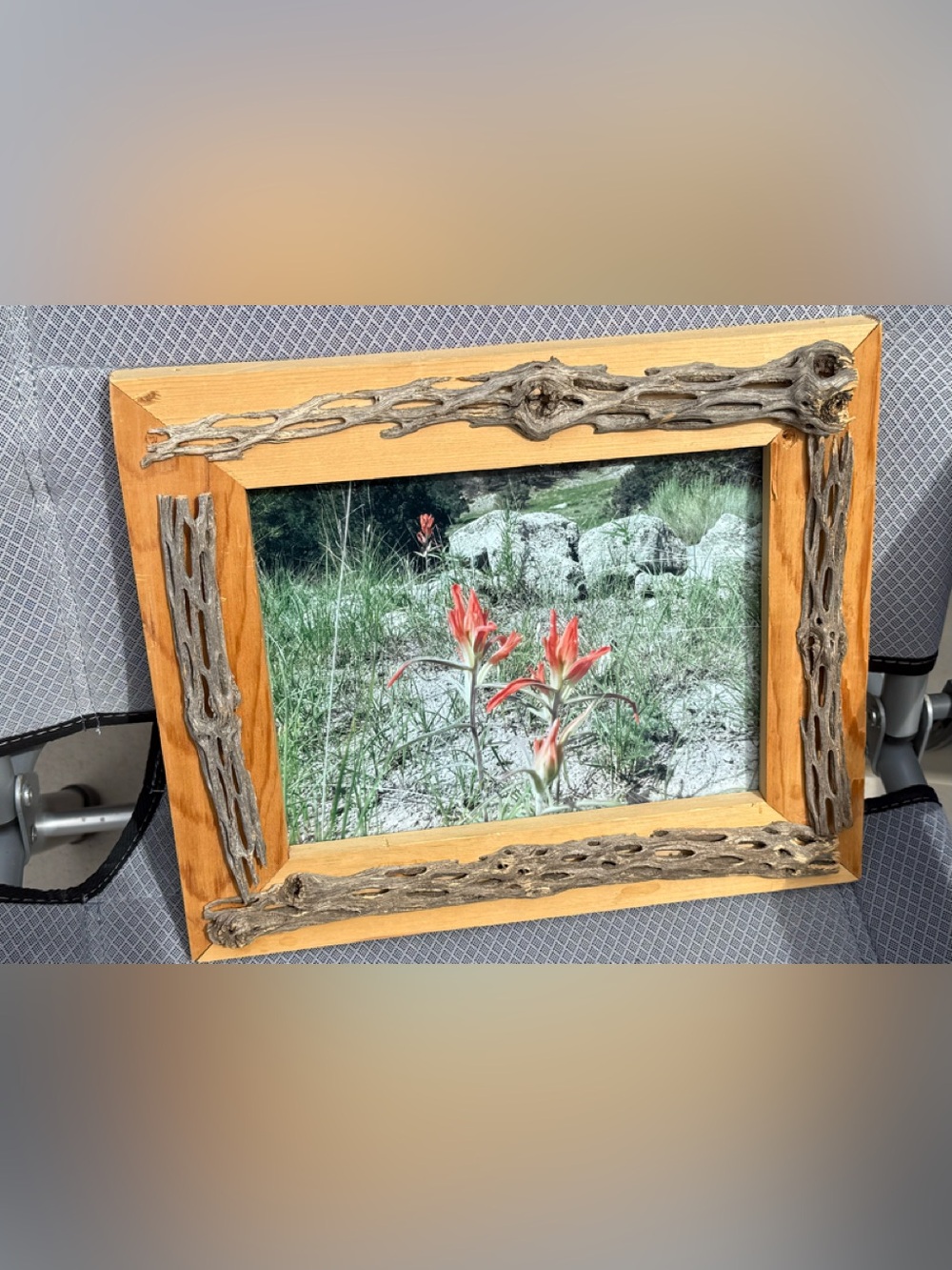 Vintage Southwestern Framed Photo – Exotic Orange Wildflower with Natural Cholla